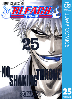 BLEACH モノクロ版 25巻