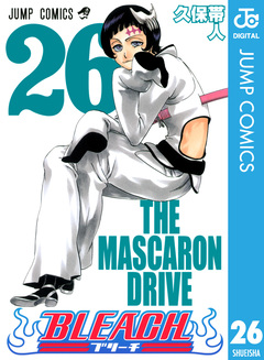 BLEACH モノクロ版 26巻