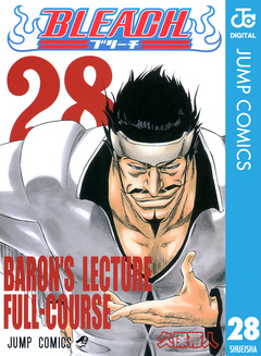 BLEACH モノクロ版 28巻