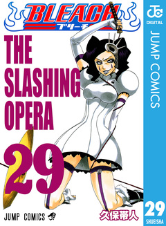 BLEACH モノクロ版 29巻