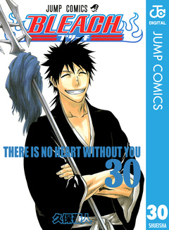 BLEACH モノクロ版 30巻