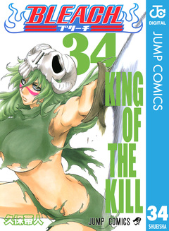 BLEACH モノクロ版 34巻
