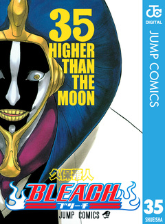 BLEACH モノクロ版 35巻