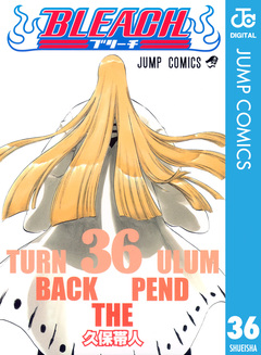 BLEACH モノクロ版 36巻