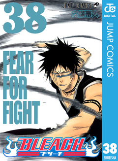 BLEACH モノクロ版 38巻