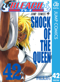 BLEACH モノクロ版 42巻