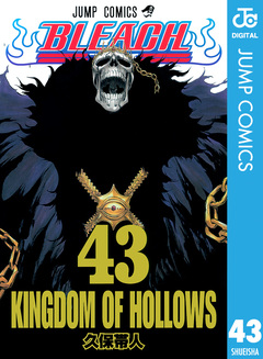 BLEACH モノクロ版 43巻