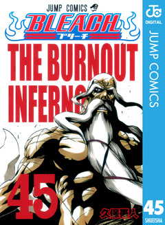BLEACH モノクロ版 45巻