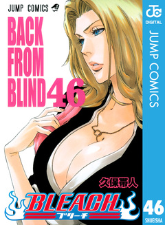 BLEACH モノクロ版 46巻
