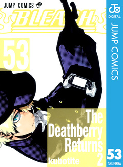BLEACH モノクロ版 53巻