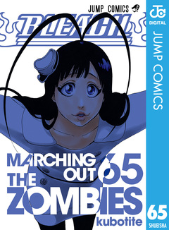 BLEACH モノクロ版 65巻