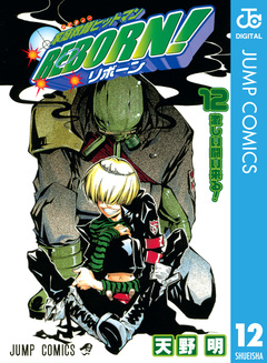 家庭教師ヒットマンREBORN! モノクロ版 12巻