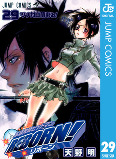 家庭教師ヒットマンREBORN! モノクロ版 29巻