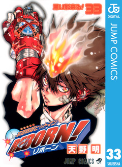 家庭教師ヒットマンREBORN! モノクロ版 33巻