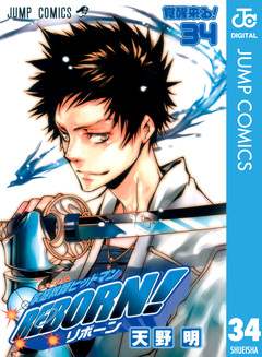 家庭教師ヒットマンREBORN! モノクロ版 34巻