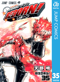 家庭教師ヒットマンREBORN! モノクロ版 35巻