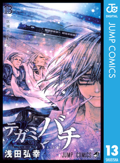 テガミバチ 13巻