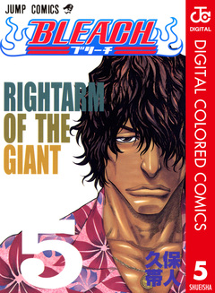 BLEACH カラー版 5巻