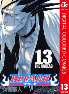 BLEACH カラー版 13巻