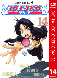 BLEACH カラー版 14巻