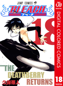 BLEACH カラー版 18巻