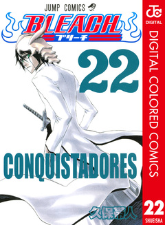BLEACH カラー版 22巻