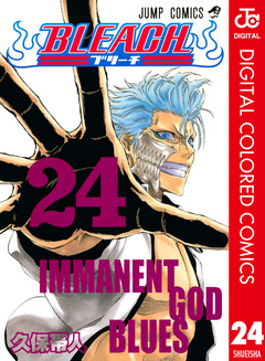 BLEACH カラー版 24巻