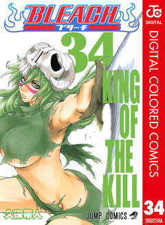 BLEACH カラー版 34巻