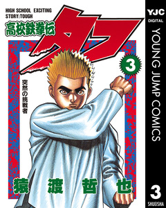 高校鉄拳伝タフ 3巻