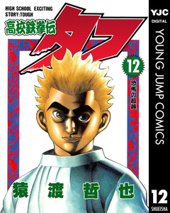 高校鉄拳伝タフ 12巻