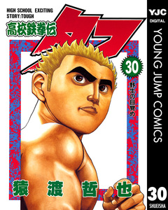 高校鉄拳伝タフ 30巻