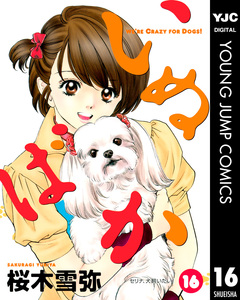 いぬばか 16巻