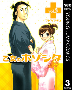 乙女のホゾシタ 3巻