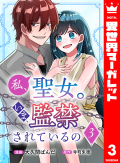 私、聖女。いま、監禁されているの 3巻