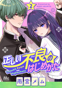 正しい不良のはじめかた 2巻