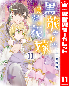 黒龍さまの見習い花嫁 11巻