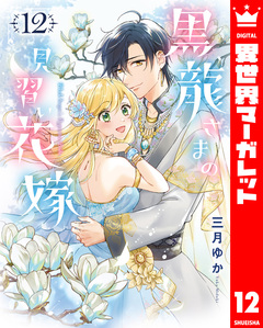黒龍さまの見習い花嫁 12巻