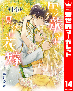 黒龍さまの見習い花嫁 14巻