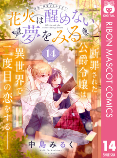 花火は醒めない夢をみる 分冊版 14巻