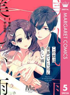 【分冊版】この恋は世界でいちばん美しい雨 5巻