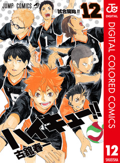 ハイキュー!! カラー版 12巻