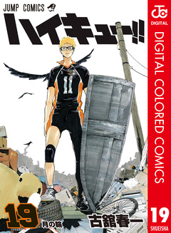 ハイキュー!! カラー版 19巻