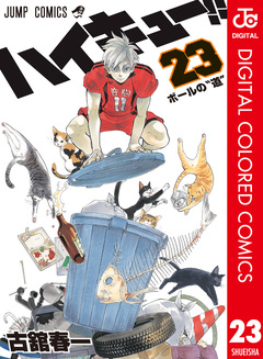 ハイキュー!! カラー版 23巻
