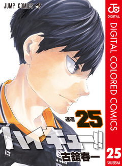 ハイキュー!! カラー版 25巻