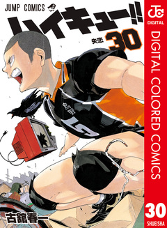 ハイキュー!! カラー版 30巻