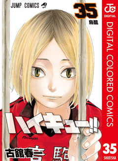 ハイキュー!! カラー版 35巻