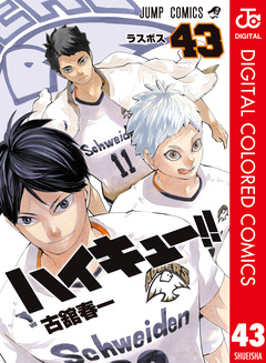 ハイキュー!! カラー版 43巻
