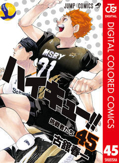 ハイキュー!! カラー版 45巻