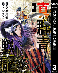 真・群青戦記 3巻