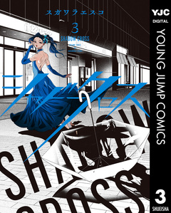 シャドークロス 3巻
